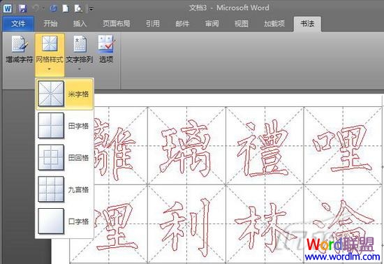 ѡ��������ʽ